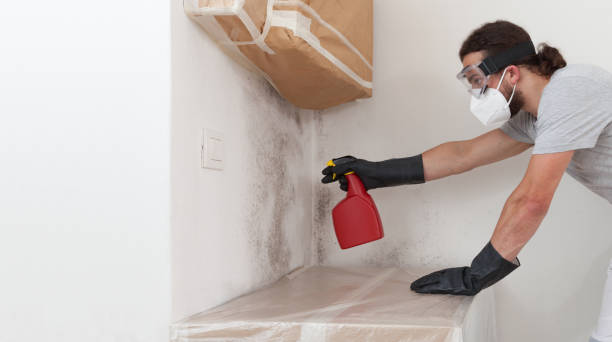 Professional Attic Mold Remediation technician working in Barnesville, MN