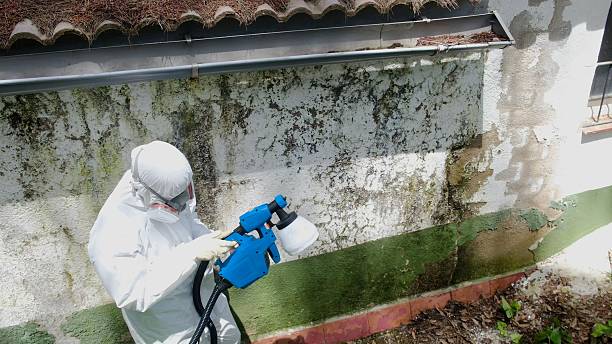 Top rated local Attic Mold Remediation specialists in Barnesville, MN